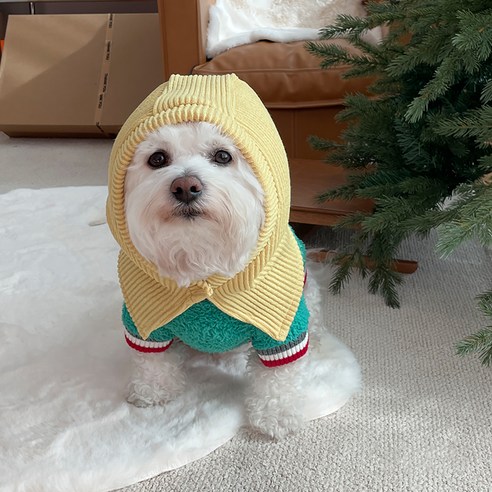 바이담수미 강아지 비비드 바라클라바, 옐로우, 1개