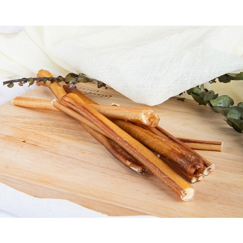 강아지의 행복을 위한 최고의 선택!