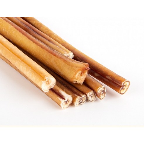 강아지의 행복을 위한 최고의 선택!