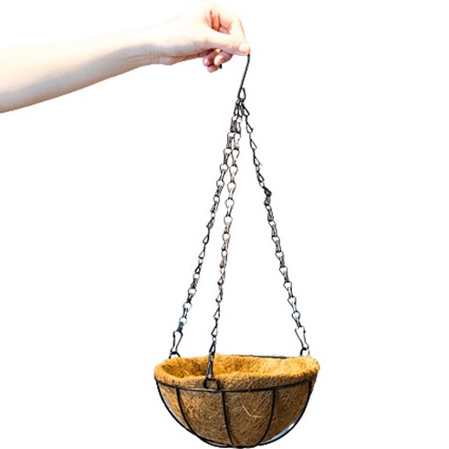 ZY 코코넛 공중화분, 혼합색상, 1개