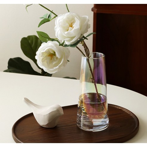 園藝 園藝 用品 園藝 花瓶 包含 放 花瓶 花瓶 家庭
