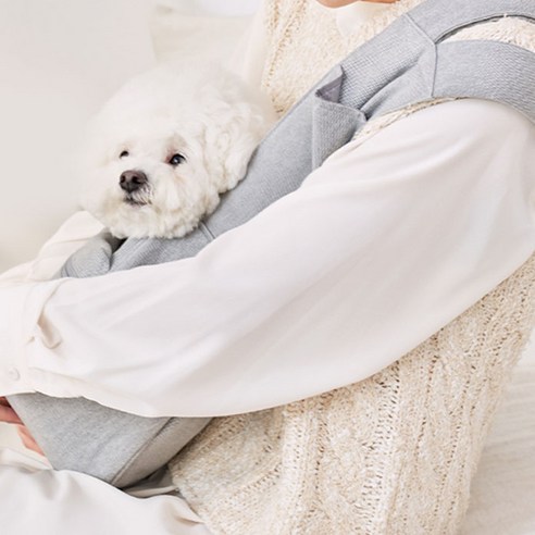 마이플러피 반려동물 매너백, 베이지 강아지가방 Best Top5