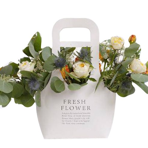 미화부장 크라프트 종이 꽃 화분 식물 선물 포장 가방 백 캐리어, 02 화이트 소, 2개