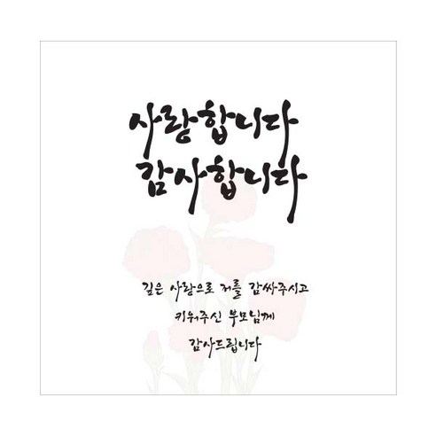 티나피크닉 어버이날 부모님 감사 현수막, C 사랑합니다 감사합니다