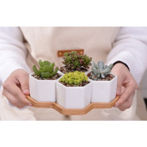 家具  FURNITURES  收納  收納  花盆架  花盆收納  花盆展示架  花盆架  花盆收納架