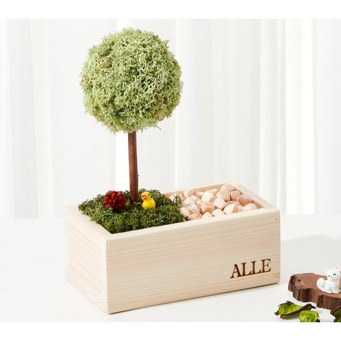 園藝 園藝 用品 園藝 苔蘚 植物 苔蘚 用於園藝