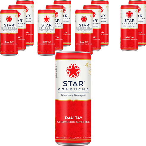 스타콤부차 스트로베리 선샤인, 250ml, 12개