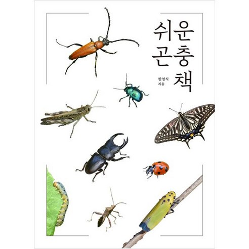 쉬운 곤충책, 진선출판사, 한영식