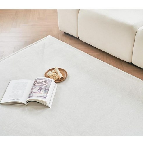 생활을 변화시키는 기능성 러그