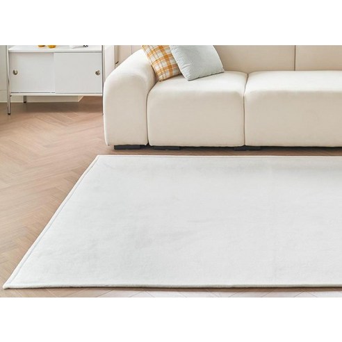 생활을 변화시키는 기능성 러그