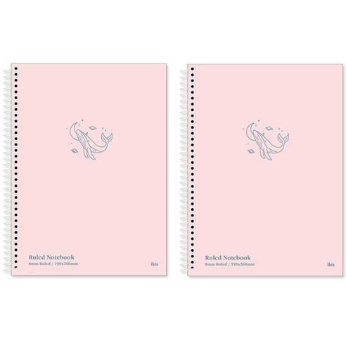 아이비스 소프트 컬러노트 12489 200매, 핑크, 2개
