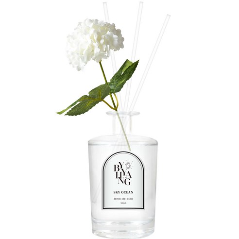 바이향 블루밍 홈 디퓨저 500ml + 조화스틱 + 리드스틱 4p 세트, 스카이오션, 1세트