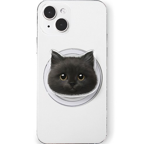 로랜텍 아크릴 휴대폰 맥세이프 스마트톡, 9 페르시안 레오, 1개