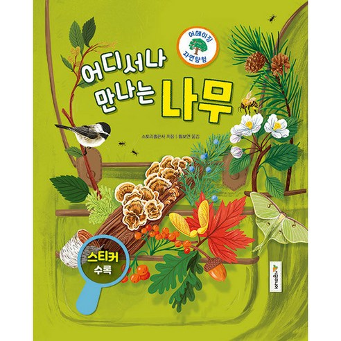 어메이징 자연탐험 : 나무, 시공주니어, 스토리출판사