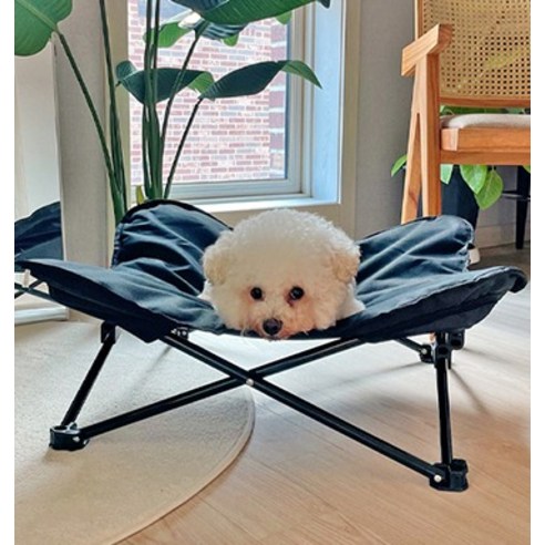 편리하고 안락한 강아지 캠핑 생활을 위한 완벽한 동반자