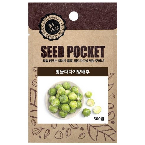 월드가드닝 정원 텃밭 좋은 씨앗 방울다다기양배추씨 500p, 1개