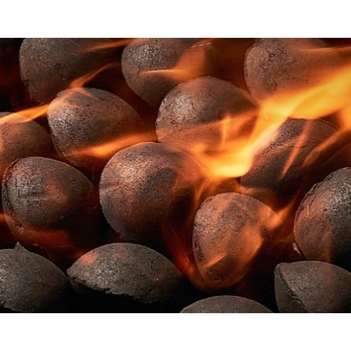 캠핑에서의 뜨거운 바비큐 파티를 위한 최적의 BBQ 숯