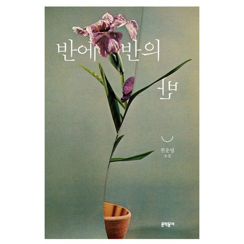 國內書籍 書籍 BOOK 書籍 書籍 國內書籍 文學 小說 短篇小說 韓國