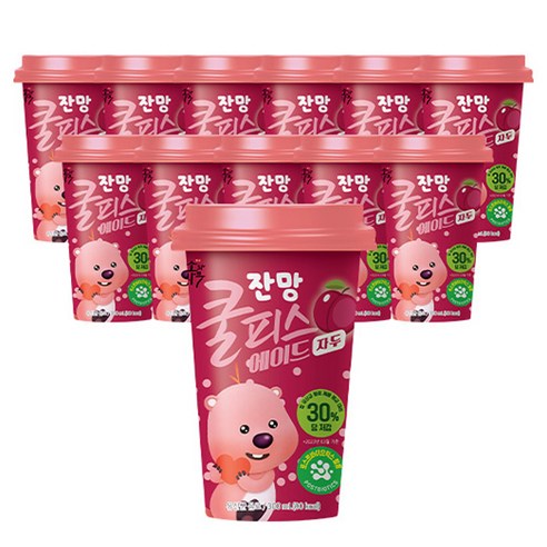 소와나무 쿨피스 에이드 자두맛, 300ml, 12개 - 기타 차 선물세트 | 쿠팡