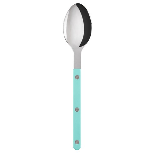 사브르 샤이니 디너 스푼, Pastel Green, 1개