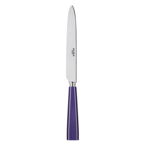 사브르 아이콘 디너 나이프, Purple, 1개
