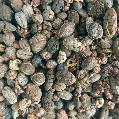 속 편한 하루를 위한 선택, 조은약초 사인 양춘사