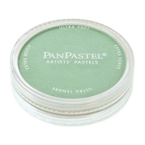 팬파스텔 신한화구 파스텔 PEARLESCENT GREEN 956.5, 1색, 1개
