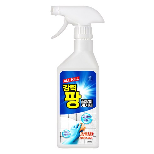 생활공식 강력팡 곰팡이 제거제, 500ml, 1개