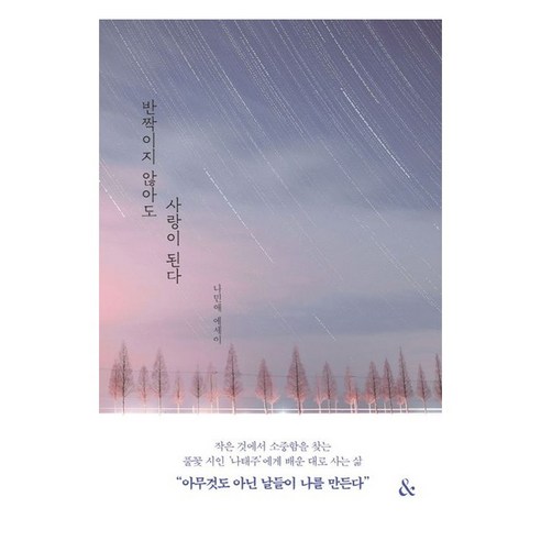 반짝이지 않아도 사랑이 된다:나민애 에세이, 나민애, &(앤드)