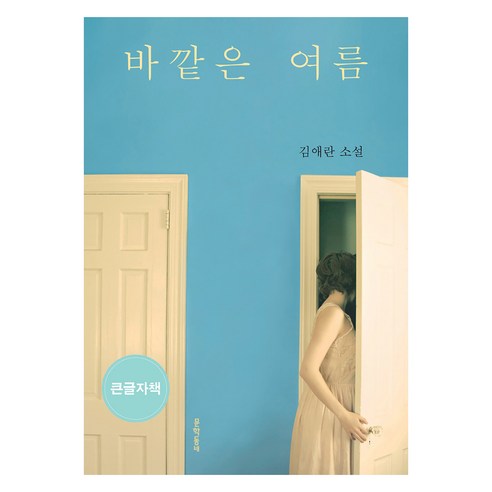 바깥은 여름(큰글자책):김애란 소설, 김애란, 문학동네