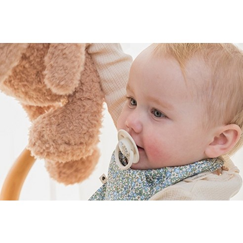 아기의 편안한 미소를 위한 완벽한 선택, BIBS 디럭스 노리개젖꼭지