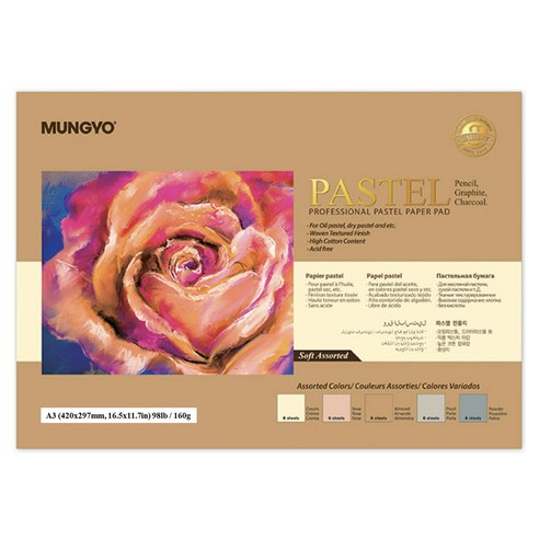 문교 파스텔 전용지 160g 소프트색 5종 x 4p 세트, A3, 1세트, 20매