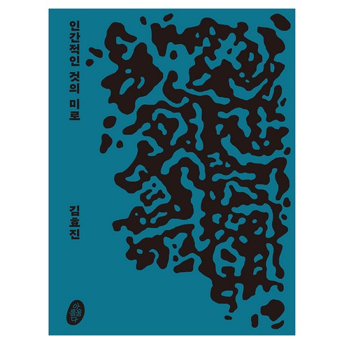 인간적인 것의 미로: 김효진 개인전, 아름다움, 김효진(저)