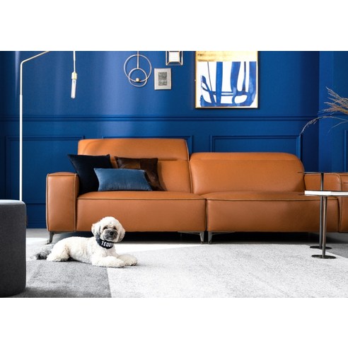 봄소와 마리 벨라니, 당신의 거실에 펼쳐질 낭만과 편안함의 완벽한 조화!