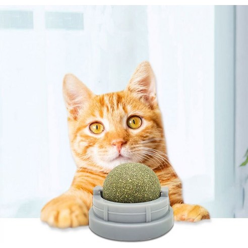 미스터추추 캣닢볼로 사랑하는 냥이에게 행복을 선물하세요!