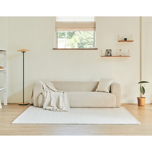 편안함과 실용성을 갖춘 거실 카페트