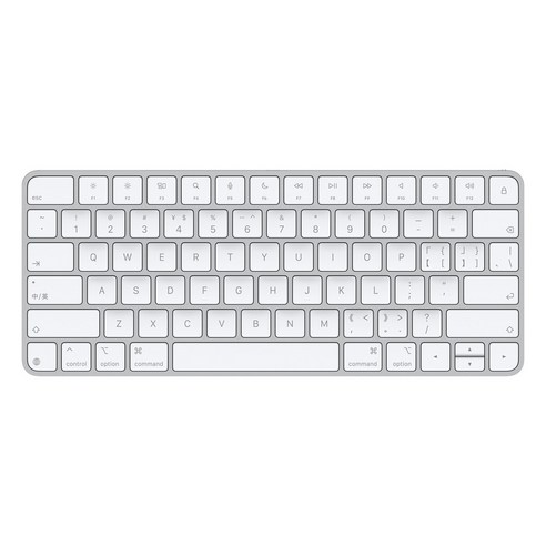 Apple 2024 Magic Keyboard, 화이트, MXCL3KC/A