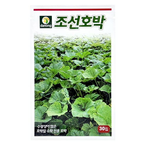 다농 조선호박 씨앗 30립, 1개