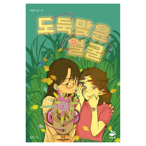 도둑맞은 얼굴, 씨드북, 효주