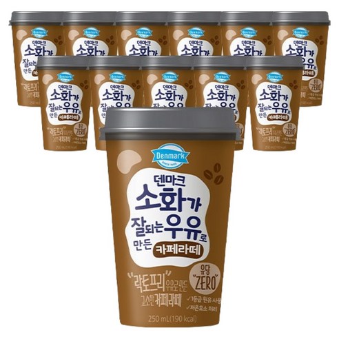 덴마크 소화가 잘되는 우유로 만든 카페라떼, 12개, 250ml