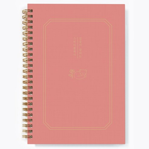 달퐁이네문방구 집중이 잘되는 스터디플래너 + 하루 일과표 스티커 세트, 02 라이트 코랄(플래너), 1세트