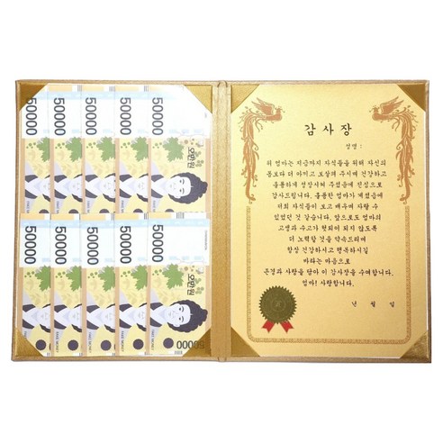 럭키심볼 황금 카네이션 숨어있는 용돈 DIY 속지 + 감사장 케이스 세트, 엄마, 1세트