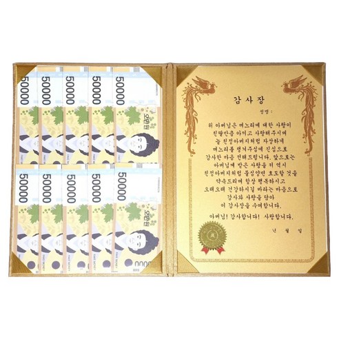 럭키심볼 황금 카네이션 숨어있는 용돈 DIY 속지 + 감사장 케이스 세트, 시아버지, 1세트