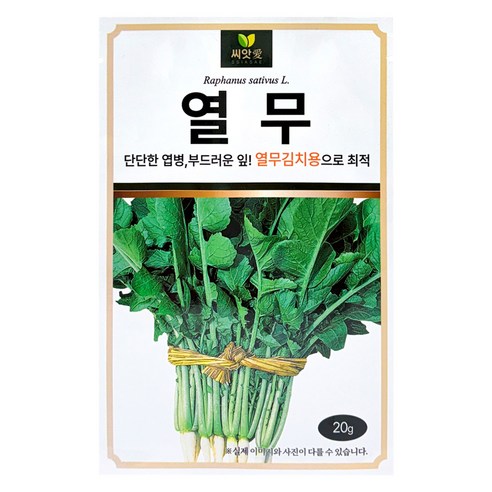 다농 씨앗애 열무 씨앗 20g, 1개