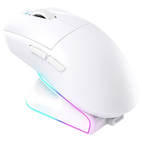 로이체 충전독 + RGB 게이밍 무선 마우스 세트 RDM-G510 WH, WHITE