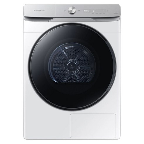 삼성전자 AI 건조기 21kg 방문설치, DV21DG8600BW, 화이트