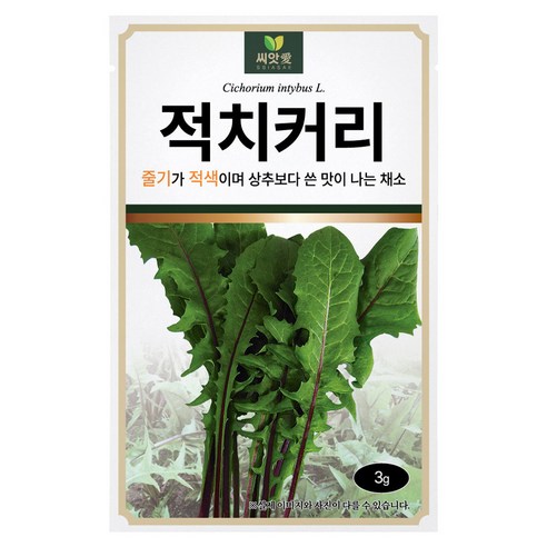 다농 씨앗애 적치커리 씨앗 3g, 1개