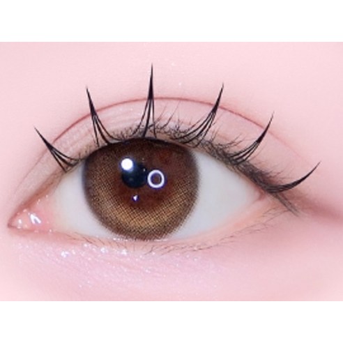 5분 만에 완성하는 인생 눈매, 코링코 톡톡하라 노글루 속눈썹!