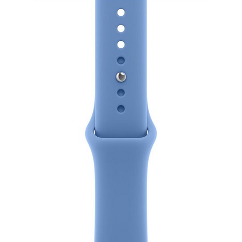 Apple 정품 애플워치 스포츠 밴드, 와일드플라워 블루, 46mm, M/L, 1개