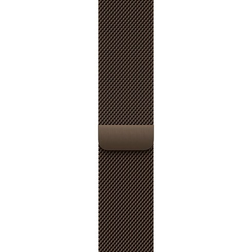 Apple 정품 애플워치 밀레니즈 루프, 다크 브론즈, 46mm, M/L, 1개